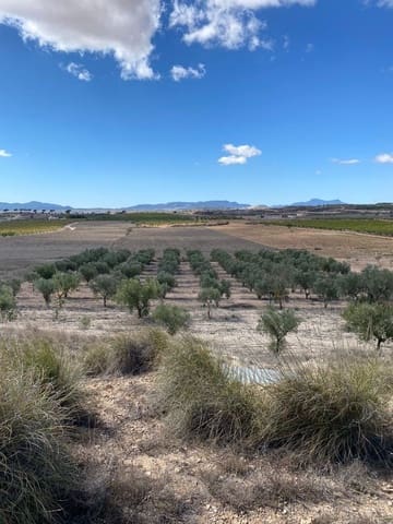 Mark till salu i Pinoso - 51 995 € (Ref: 8402431)