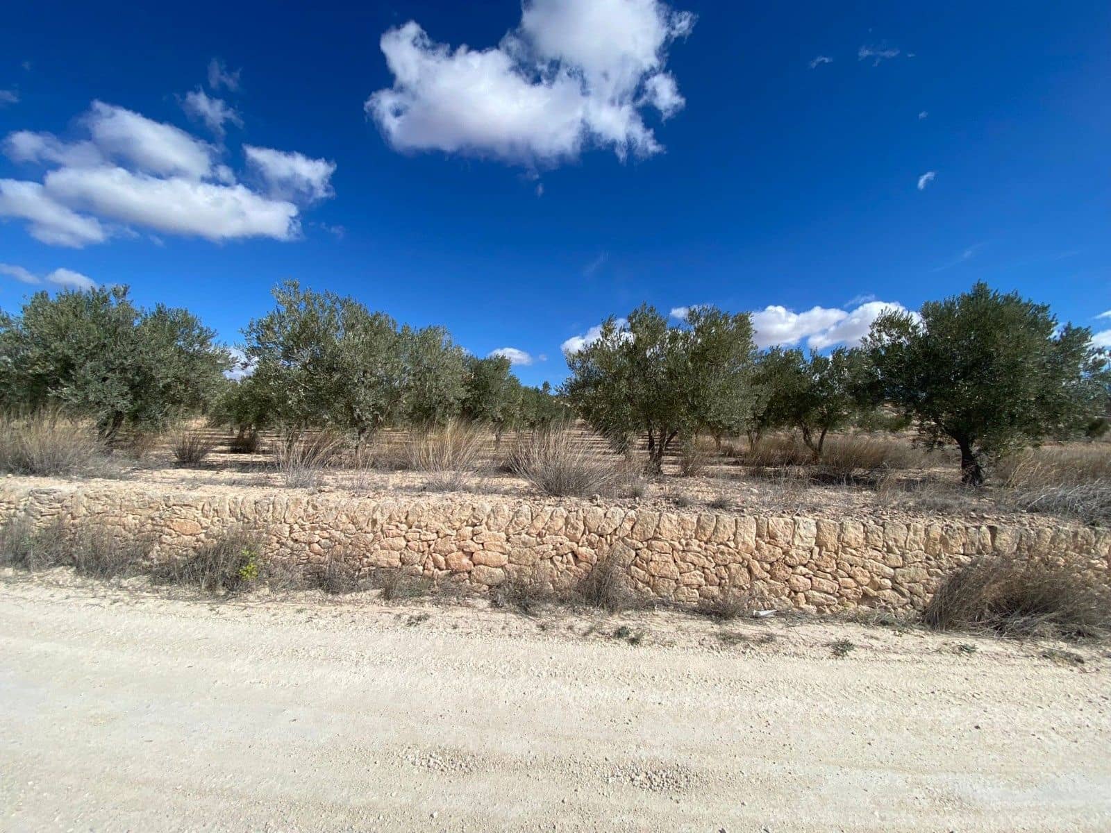 Undeveloped Land for sale in Pinoso - € 51,995 (Ref: 8402431)