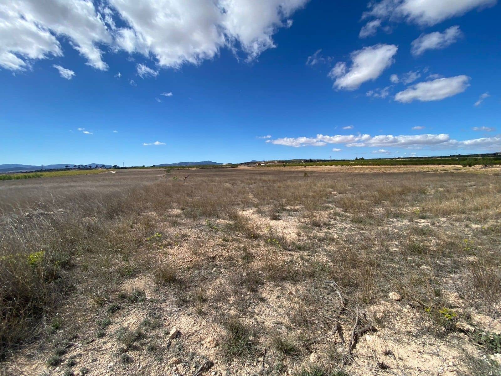 Undeveloped Land for sale in Pinoso - € 51,995 (Ref: 8402431)
