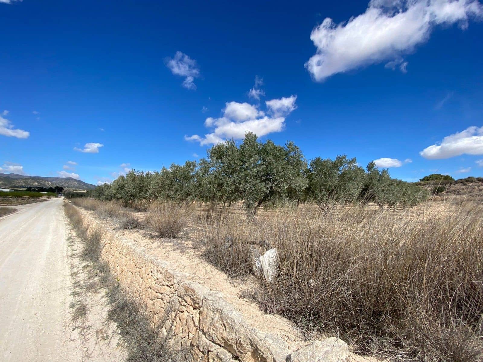 Undeveloped Land for sale in Pinoso - € 51,995 (Ref: 8402431)