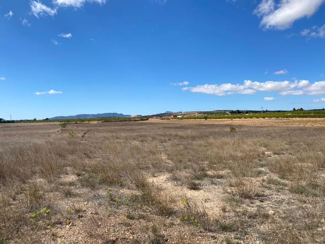 Undeveloped Land for sale in Pinoso - € 51,995 (Ref: 8402431)