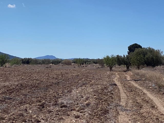 Ubebygd land til salgs i Pinoso - € 35 995 (Ref: 8405859)