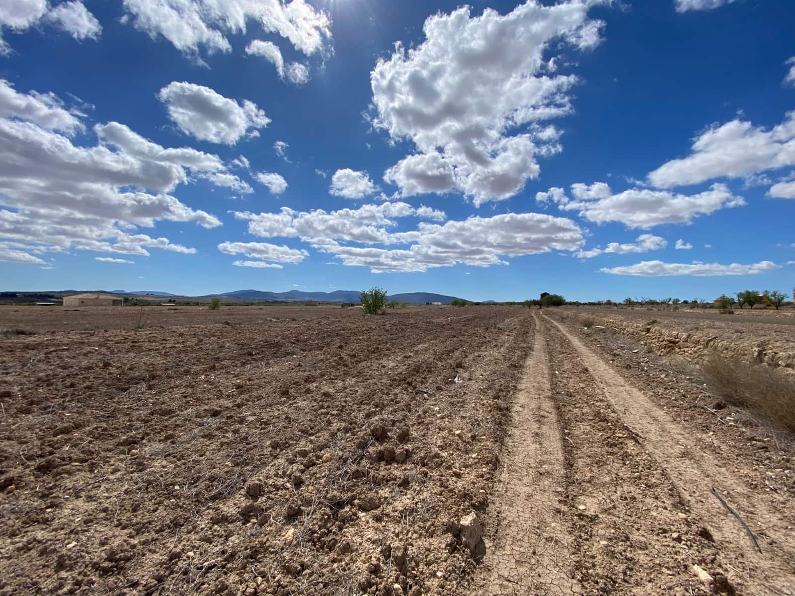 Ubebygd land til salgs i Pinoso - € 35 995 (Ref: 8405859)