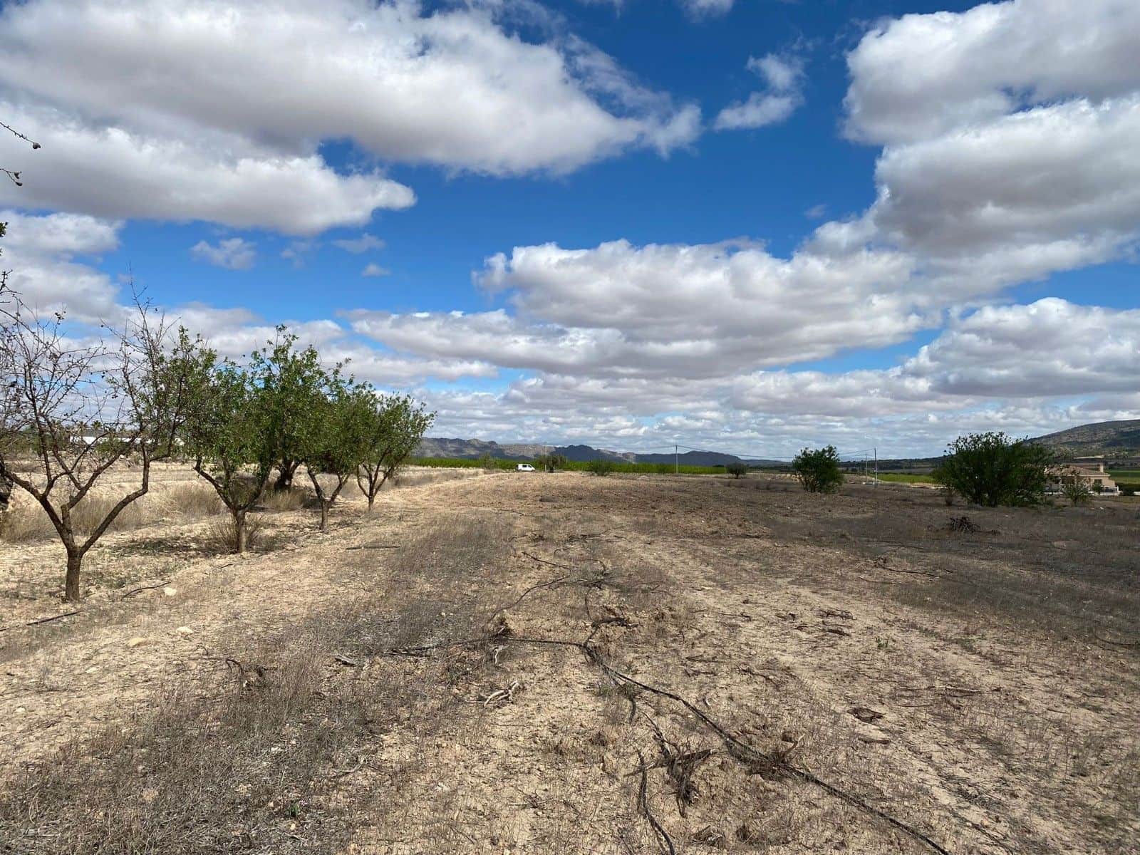 Undeveloped Land for sale in Pinoso - € 35,995 (Ref: 8405859)