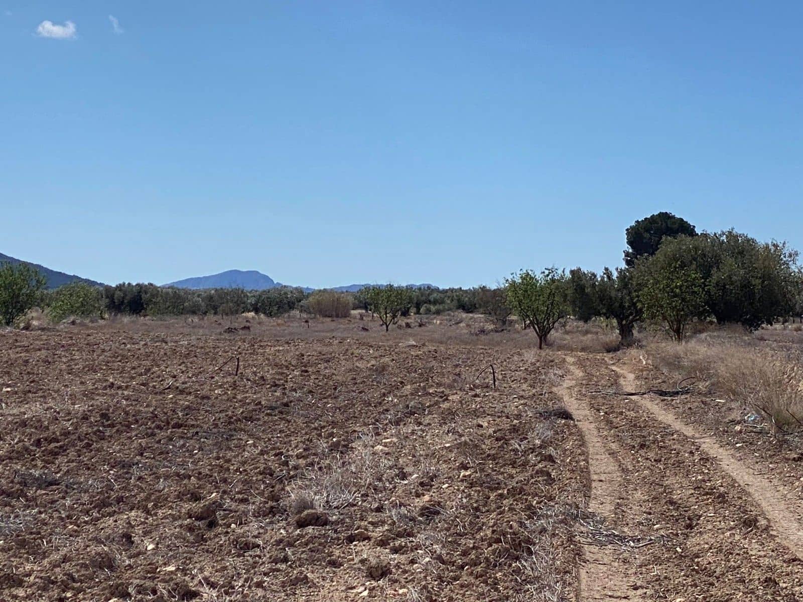 Undeveloped Land for sale in Pinoso - € 35,995 (Ref: 8405859)