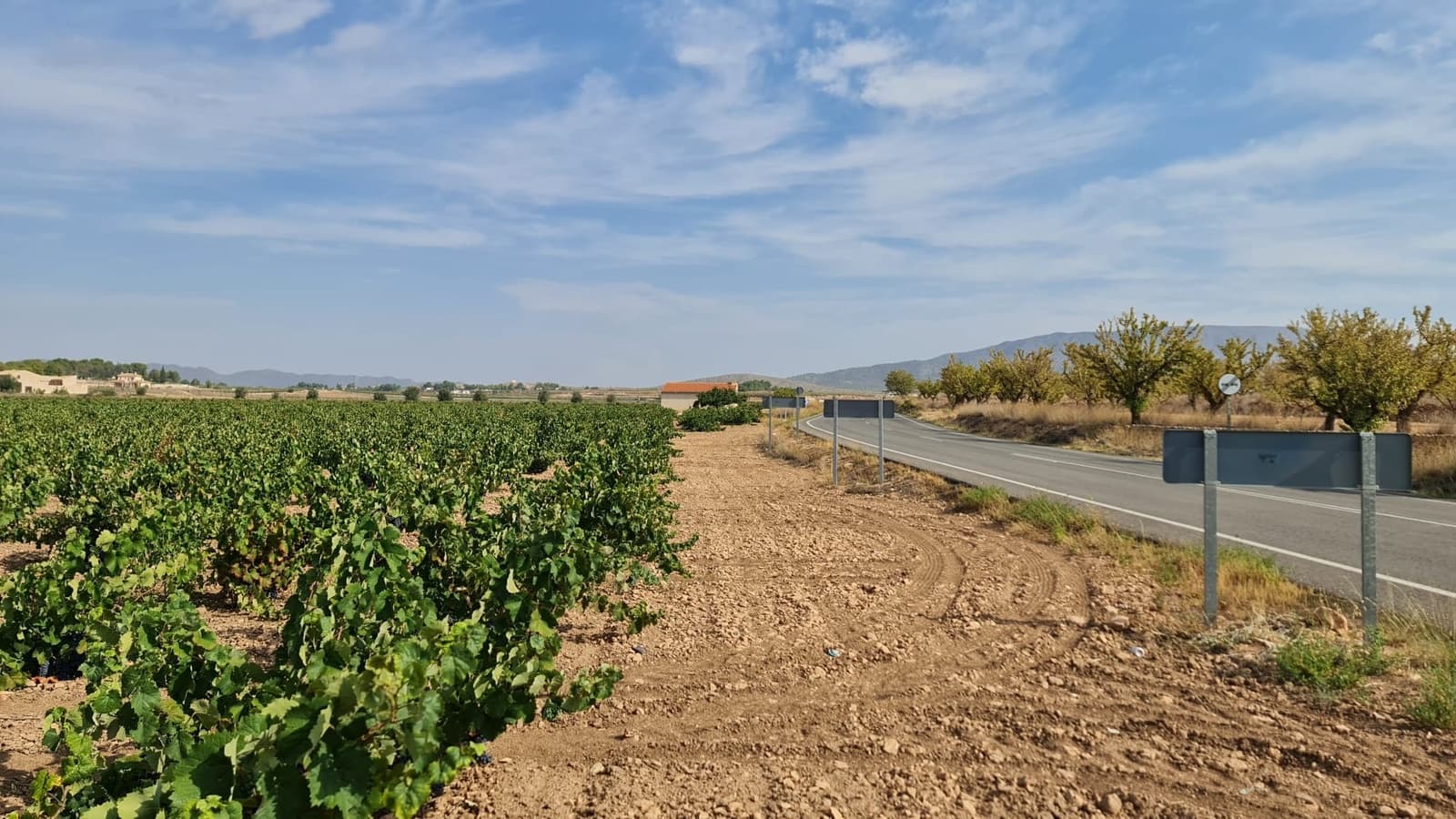 Terre non Aménagée à vendre à Pinoso - 552 840 € (Ref: 8482466)