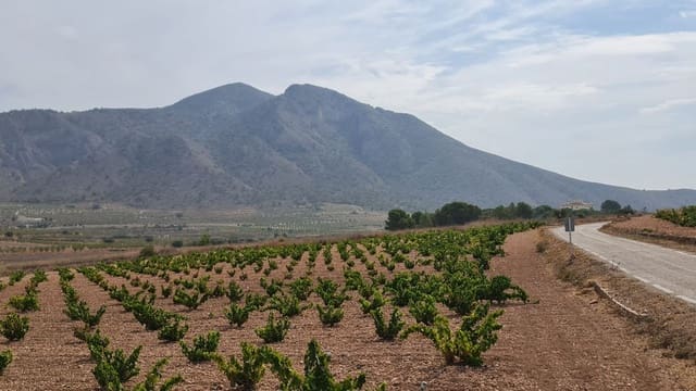 Mark till salu i L'Algueña / Alguenya - 29 502 € (Ref: 8482467)