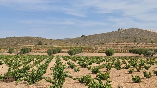Mark till salu i L'Algueña / Alguenya - 29 502 € (Ref: 8482467)