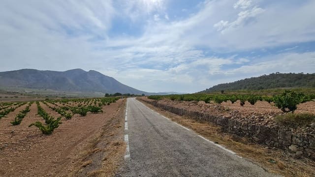 Mark till salu i L'Algueña / Alguenya - 29 502 € (Ref: 8482467)