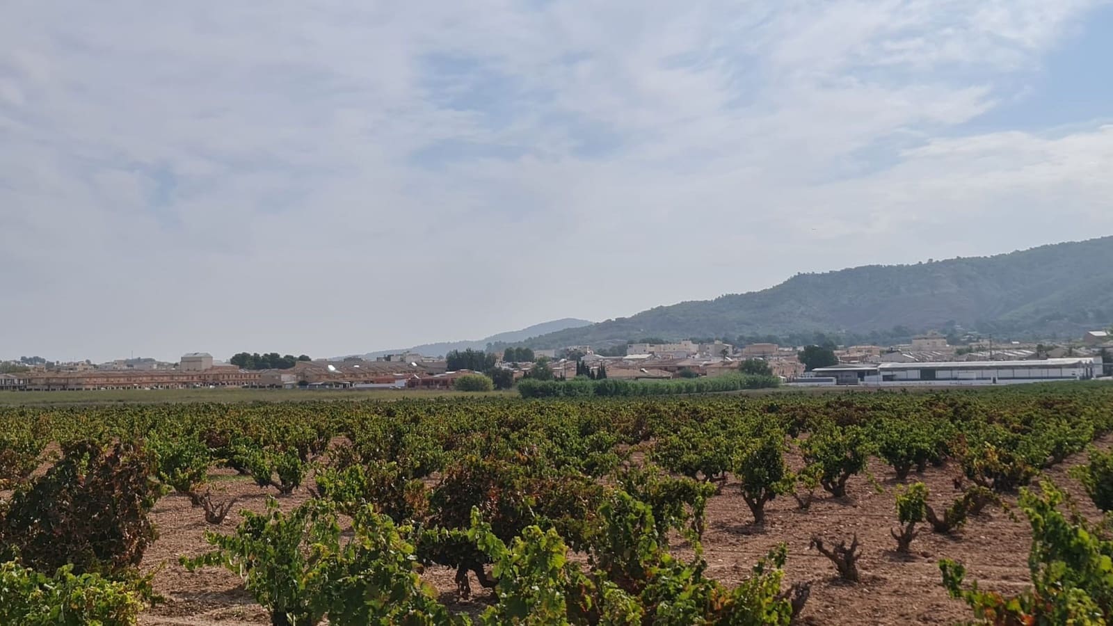 Undeveloped Land for sale in Pinoso - € 279,244 (Ref: 8482468)