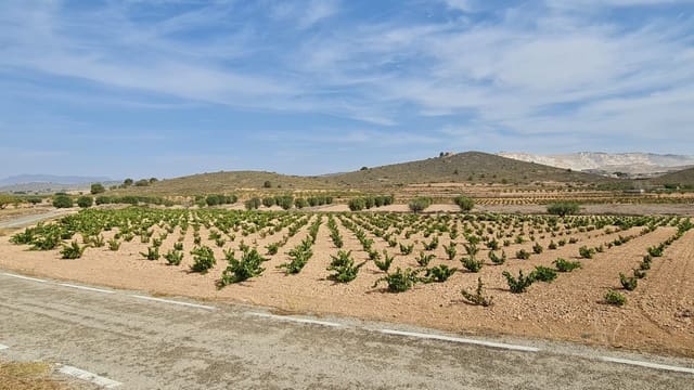 Terre non Aménagée à vendre à Cañada de la Lena, Abanilla - 68 961 € (Ref: 8524696)