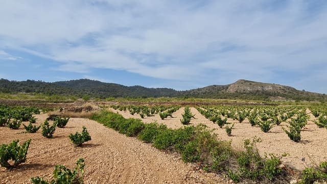 Terre non Aménagée à vendre à Cañada de la Lena, Abanilla - 68 961 € (Ref: 8524696)
