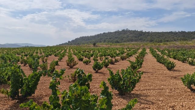 Terre non Aménagée à vendre à Cañada de la Lena, Abanilla - 68 961 € (Ref: 8524696)