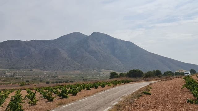 Grunde uden byggetilladelser til salg i Cañada de la Lena, Abanilla - € 68.961 (Ref: 8524696)