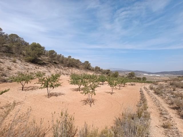 Terreno Non Edificato in vendita in Cañada de la Lena, Abanilla - 24.310 € (Rif: 8525117)