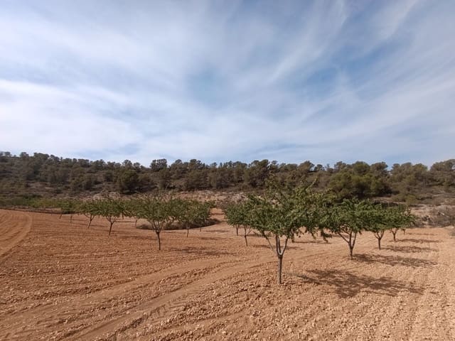 Terreno Non Edificato in vendita in Cañada de la Lena, Abanilla - 24.310 € (Rif: 8525117)