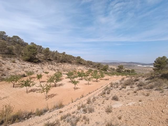 Terreno Non Edificato in vendita in Cañada de la Lena, Abanilla - 24.310 € (Rif: 8525117)