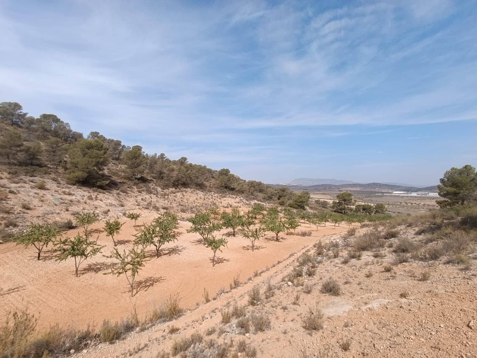 Undeveloped Land for sale in Canada de la Lena - € 24,310 (Ref: 8525117)