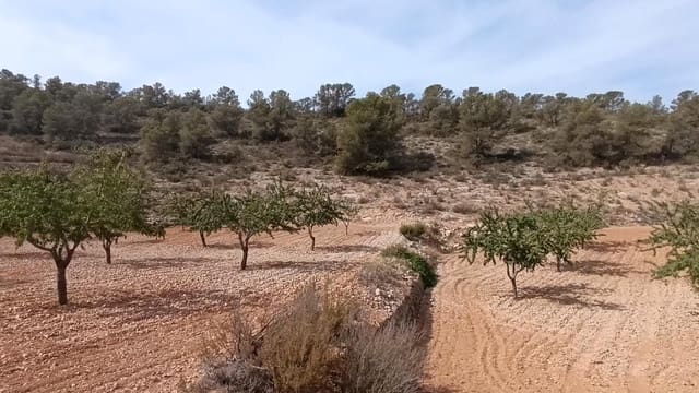 Mark till salu i Cañada de la Lena, Abanilla - 24 310 € (Ref: 8525117)