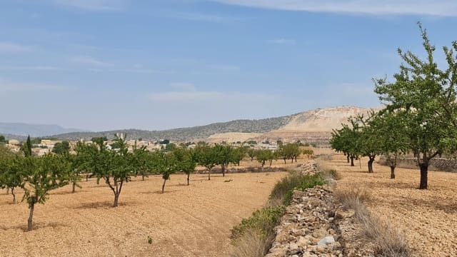 Mark till salu i L'Algueña / Alguenya - 28 674 € (Ref: 8526230)