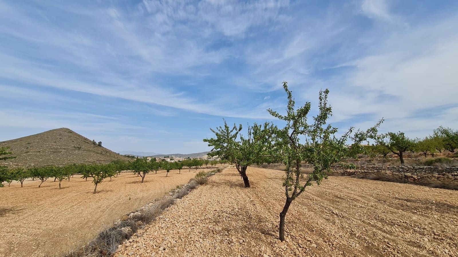 Undeveloped Land for sale in L'Alguena / Alguenya - € 28,674 (Ref: 8526230)