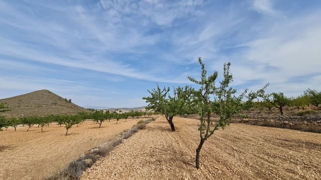 Mark till salu i L'Algueña / Alguenya - 28 674 € (Ref: 8526230)