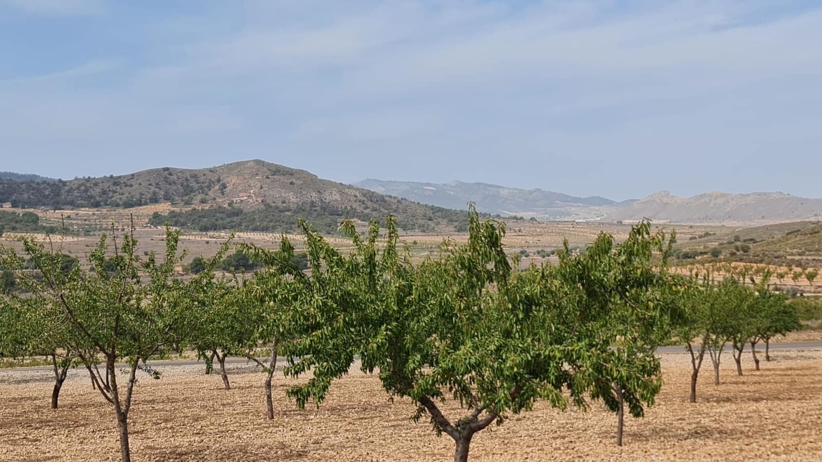Undeveloped Land for sale in L'Alguena / Alguenya - € 28,674 (Ref: 8526230)