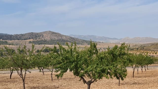Mark till salu i L'Algueña / Alguenya - 28 674 € (Ref: 8526230)