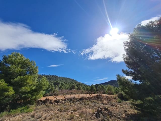 Terreno Não Urbanizado para venda em Pinoso - 74 995 € (Ref: 8530824)