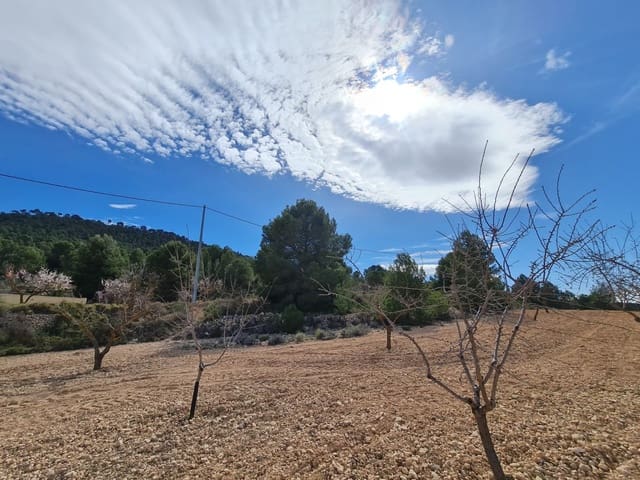 Terreno Não Urbanizado para venda em Pinoso - 74 995 € (Ref: 8530824)
