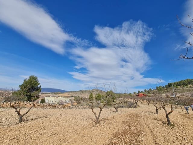 Terreno Não Urbanizado para venda em Pinoso - 74 995 € (Ref: 8530824)