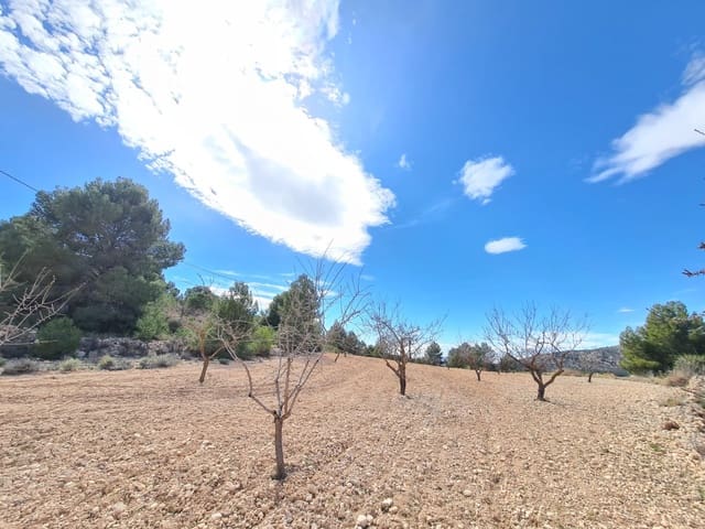 Terreno Não Urbanizado para venda em Pinoso - 74 995 € (Ref: 8530824)