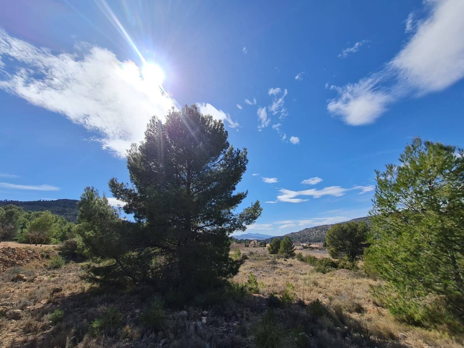 Undeveloped Land for sale in Pinoso - € 74,995 (Ref: 8530824)