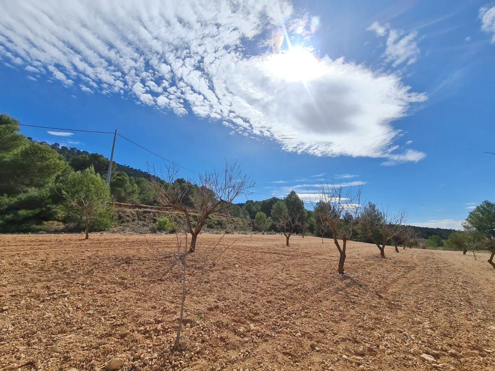 Undeveloped Land for sale in Pinoso - € 74,995 (Ref: 8530824)