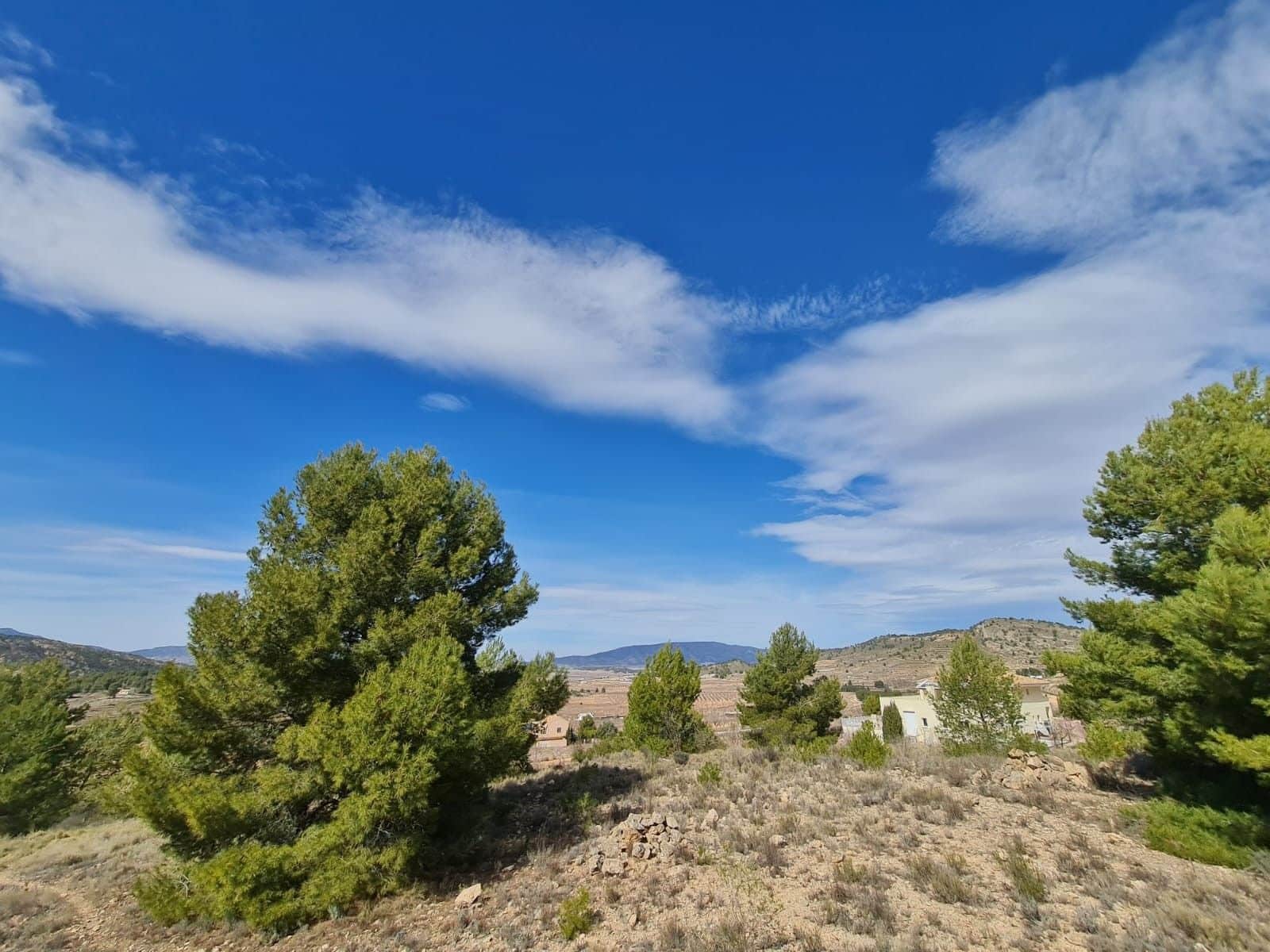 Undeveloped Land for sale in Pinoso - € 74,995 (Ref: 8530824)