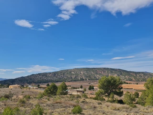 Undeveloped Land for sale in Pinoso - € 74,995 (Ref: 8530824)