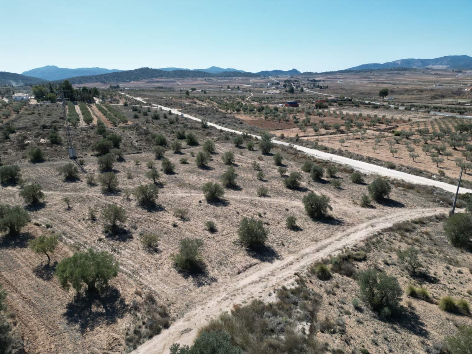 Terre non Aménagée à vendre à Pinoso - 14 400 € (Ref: 8533282)
