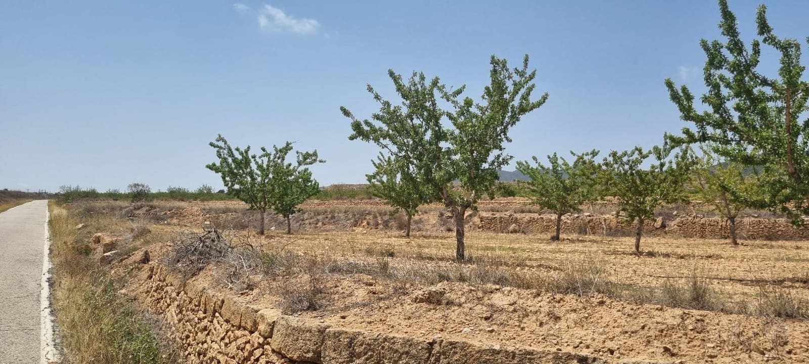Undeveloped Land for sale in Raspay - € 25,995 (Ref: 8575277)