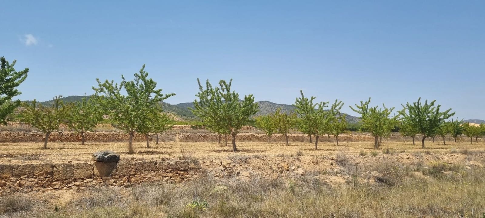 Undeveloped Land for sale in Raspay - € 25,995 (Ref: 8575277)