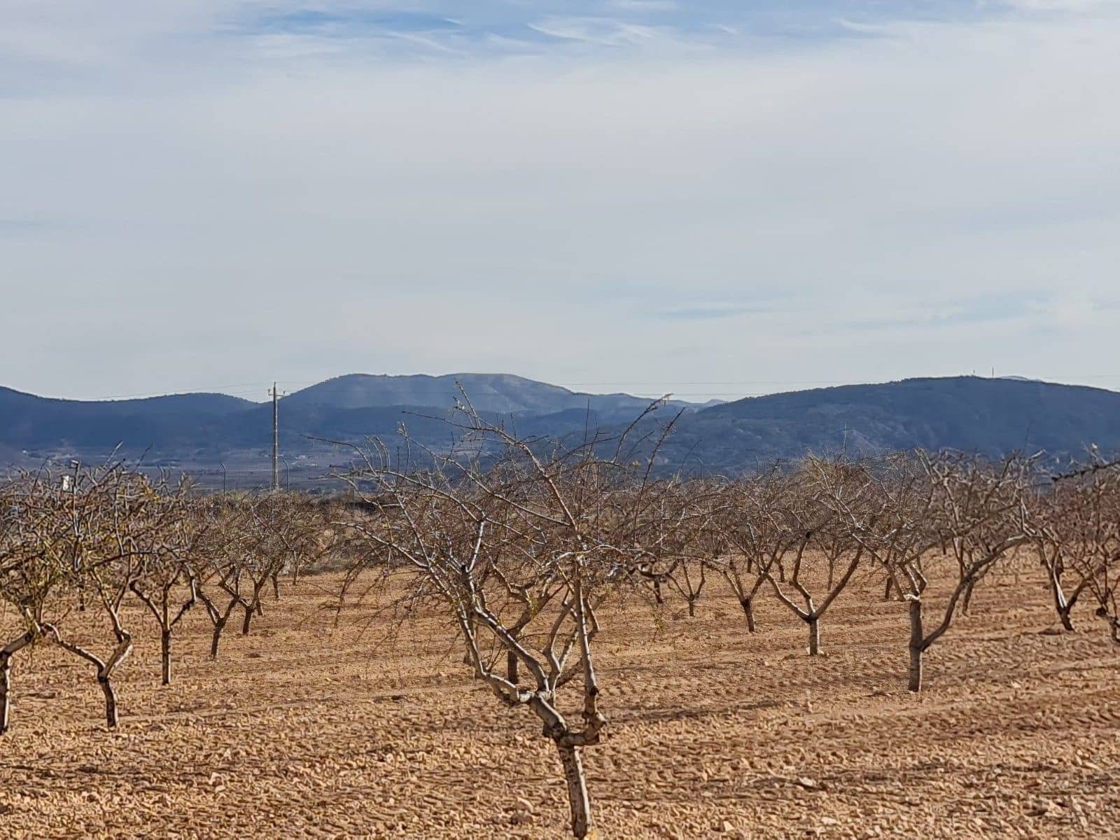 Undeveloped Land for sale in Raspay - € 15,995 (Ref: 8575291)