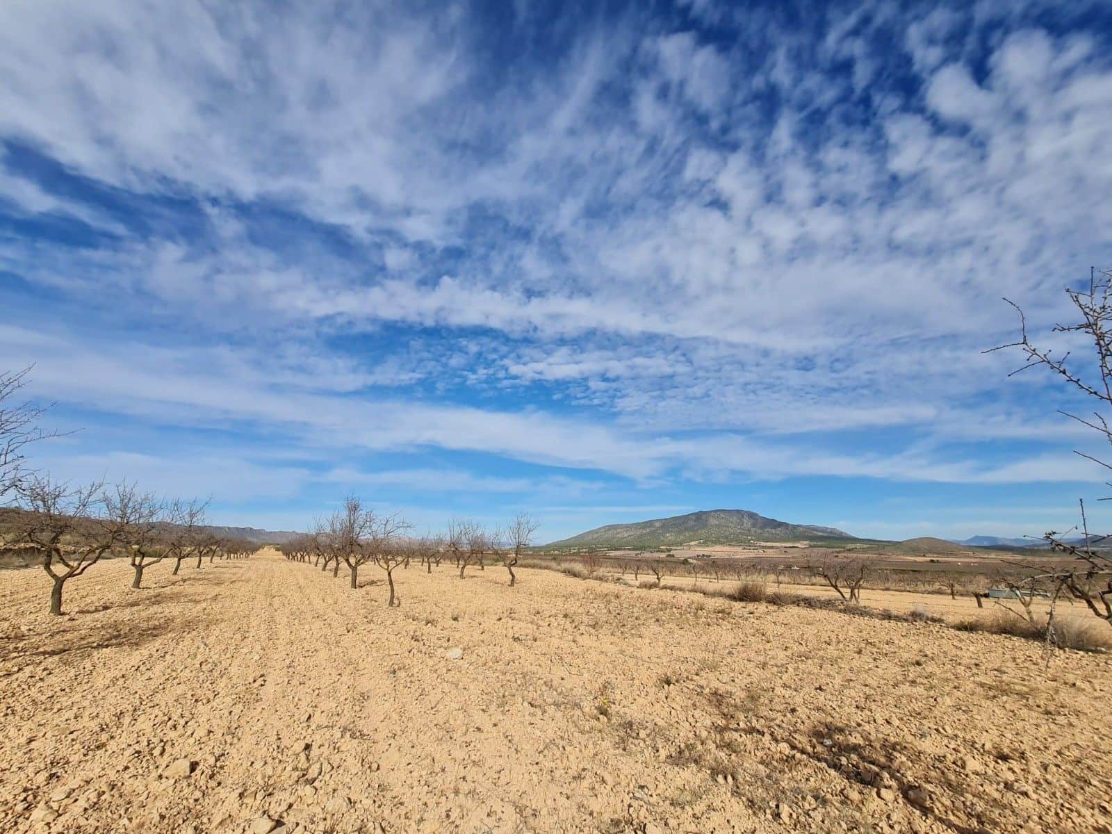 Undeveloped Land for sale in Raspay - € 15,995 (Ref: 8575291)