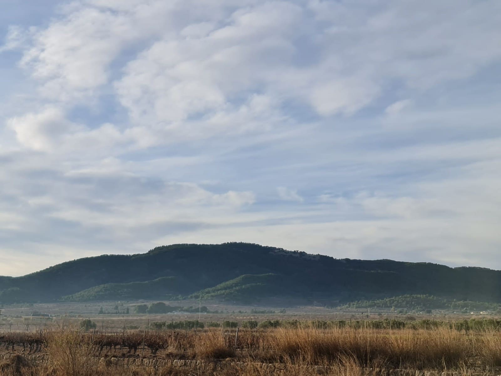 Terreno Non Edificato in vendita in Monovar / Monover - 119.000 € (Rif: 8575294)