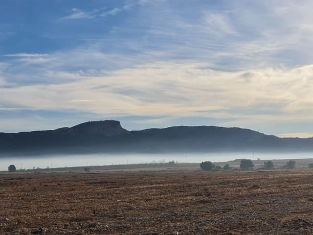 Undeveloped Land for sale in Monóvar / Monóver - € 119,000 (Ref: 8575294)