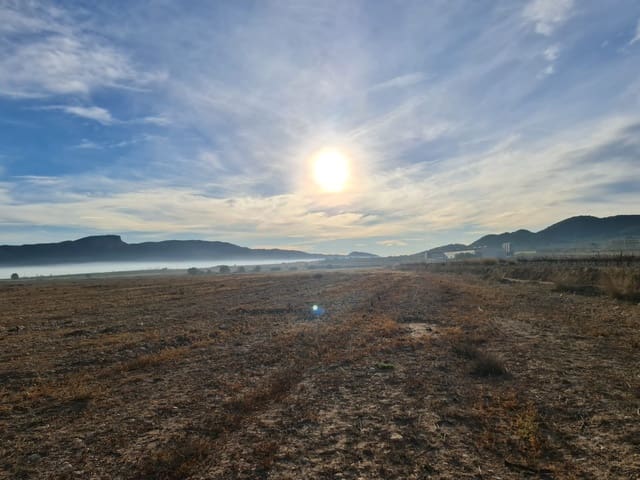 Undeveloped Land for sale in Monóvar / Monóver - € 119,000 (Ref: 8575294)