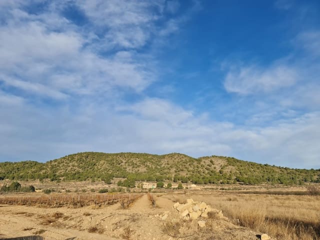 Undeveloped Land for sale in Monóvar / Monóver - € 119,000 (Ref: 8575294)
