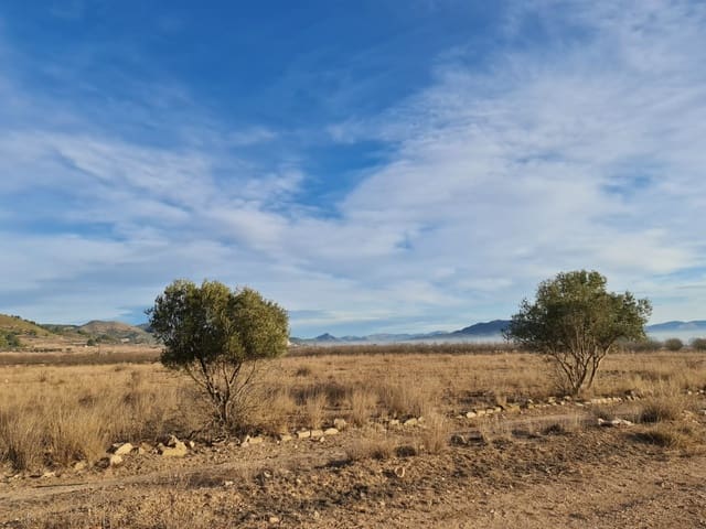 Undeveloped Land for sale in Monóvar / Monóver - € 119,000 (Ref: 8575294)