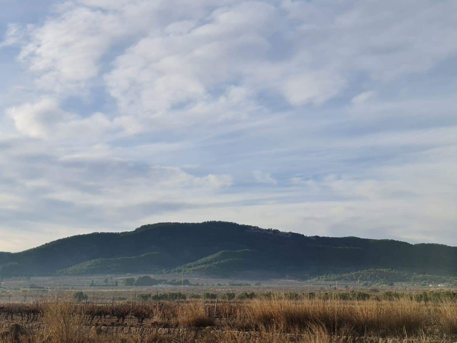 Undeveloped Land for sale in Monovar / Monover - € 119,000 (Ref: 8575294)