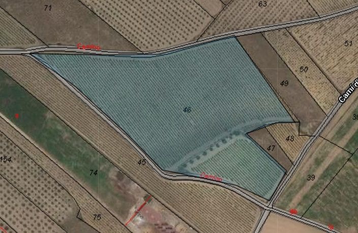 Undeveloped Land for sale in Monovar / Monover - € 119,000 (Ref: 8575294)