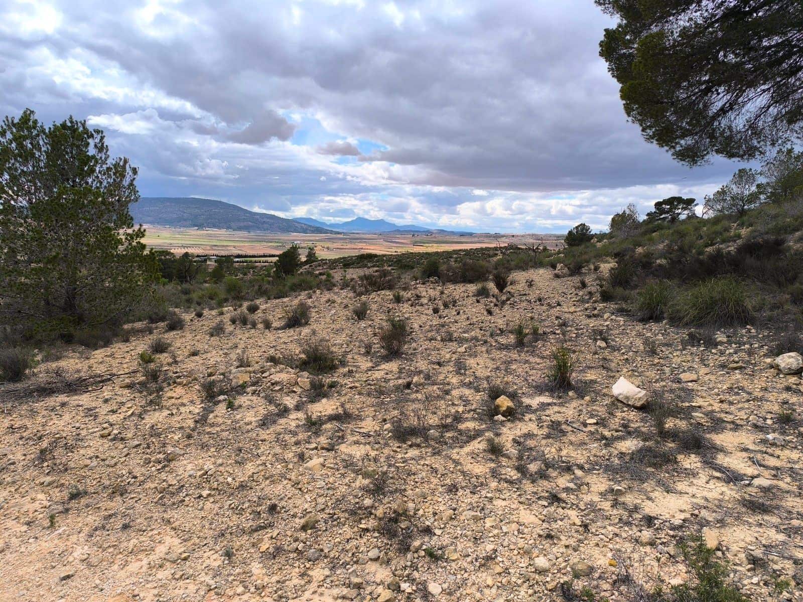 Undeveloped Land for sale in Pinoso - € 35,995 (Ref: 8575296)