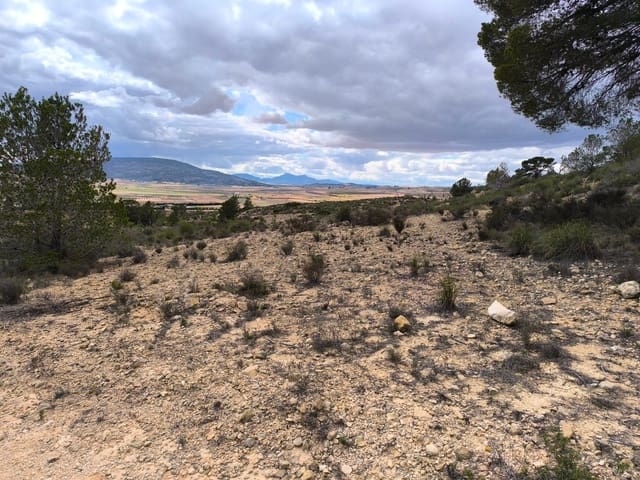 Mark till salu i Pinoso - 35 995 € (Ref: 8575296)